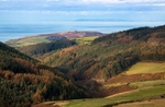 Glen Rushen