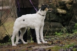 Athos in November 2019-3