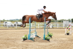 SBM_019080