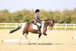 SBM_007996