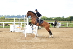 SBM_003475