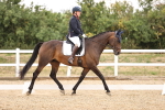 SBM_008640