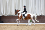 SBM_001670