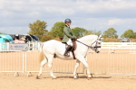 SBM_15470