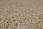 230624A-162410-02559