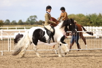 SBM_02815