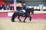 SBM_17941