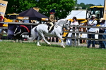 SBM_06089