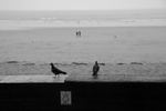 Barry Island; Faded Glory 27