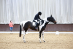 SBM_000239