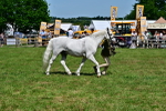 SBM_07824