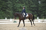 237-Sue_Lanz-Wellshead_Foxtrot portfolio