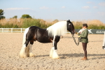 SBM_08577