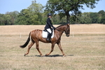 WJ6_8774