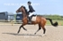 BPP_3673
