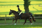 SBM_56463