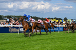 300826-Race 4-Financer-0547