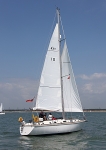 090529 REACH IMG_4208