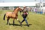SBM_05596