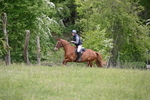 WJ6_1593