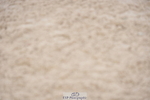 Sunday BE 90 - Click to View Photos portfolio