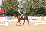 SBM_03575