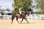 SBM_12912
