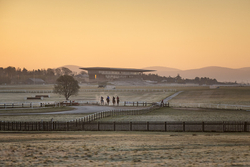 #131  Curragh Racecourse Sunrise