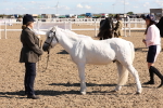 SBM_12937