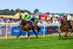 130826-Race 4-Shazani-9091