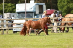 SBM_01735