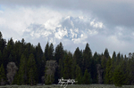 3HPhotography5-21-25_GTNP_532_