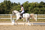 SBM_007817