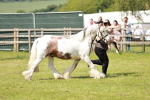SBM_08567
