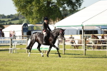 SBM_20074