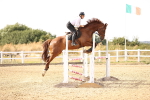 SBM_001735
