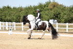 SBM_001589