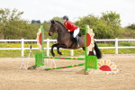 SBM_003673