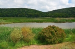 Lake Mandra, Burgas Province, Bulgaria