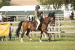 SBM_09746