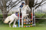 Show Jumping_26-05-2019-3