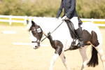 SBM_007886