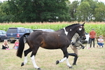 WJ6_6248