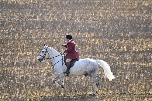 WJ6_8595