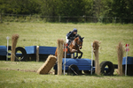 BVHT 140517  IXC -733