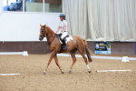 SBM_009264