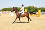SBM_001497