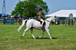 SBM_03805