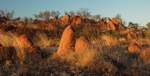 The Pebbles sacred site Northern Territory