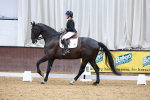 SBM_003493